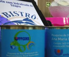 Sorvete à base de tilápia? Pesquisadora de universidade do Paraná cria produto inovador