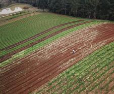 Paraná Mais Orgânico