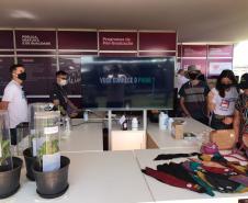 Show Rural 2022 - Estande da Ciência e Tecnologia
