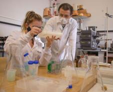 Laboratório Nacional de Luz Síncrotron (LNLS)