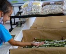 Em alta na ExpoLondrina, ciência e tecnologia desenvolvem o agronegócio do futuro