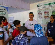 Em alta na ExpoLondrina, ciência e tecnologia desenvolvem o agronegócio do futuro