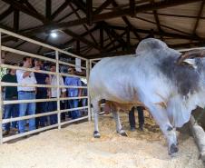 Governador conhece projeto de alimentação do futuro desenvolvido em Londrina