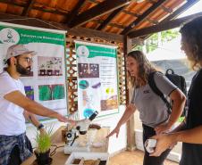 Em alta na ExpoLondrina, ciência e tecnologia desenvolvem o agronegócio do futuro