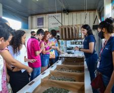 Em alta na ExpoLondrina, ciência e tecnologia desenvolvem o agronegócio do futuro