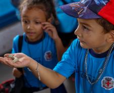 Em alta na ExpoLondrina, ciência e tecnologia desenvolvem o agronegócio do futuro