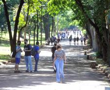 Governo lança curso de sustentabilidade para alunos das sete universidade estaduais