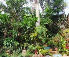 Projeto da UEL investiga potencial das plantas ornamentais da flora brasileira