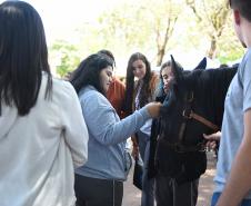 Primeira Feira de Profissões da UENP reúne mais de 3 mil estudantes
