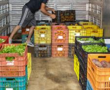 Líder nacional em alimentos orgânicos, Paraná investe para ampliar produção e consumo