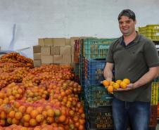 Líder nacional em alimentos orgânicos, Paraná investe para ampliar produção e consumo