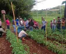 Para incentivar a produção agroecológica, IDR-Paraná investe na capacitação de produtores