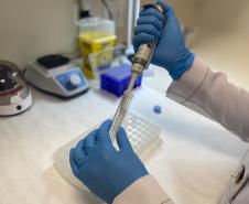 Governo destina R$ 651 mil para bolsas de seis pesquisadores dentro do Projeto Genomas