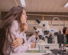 Ciência revolucionária: no Paraná, mulheres são maioria no sistema de ensino superior
