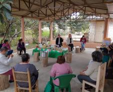 Projeto da Unicentro incentiva uso de plantas medicinais para gerar renda a agricultoras