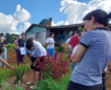 Projeto da Unicentro incentiva uso de plantas medicinais para gerar renda a agricultoras