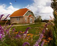 Turismo rural: governador sanciona lei que cria a Rota da Lavanda no Paraná