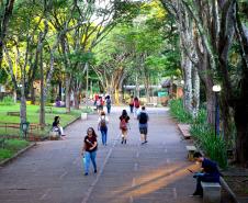 Ensino superior do Paraná está entre os mais bem avaliados do Brasil