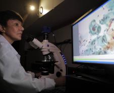 Pesquisadoras da UEM vão liderar projeto nacional de autocoleta de HPV