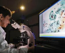 Pesquisadoras da UEM vão liderar projeto nacional de autocoleta de HPV