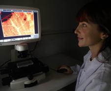 Pesquisadoras da UEM vão liderar projeto nacional de autocoleta de HPV