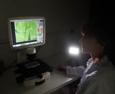 Pesquisadoras da UEM vão liderar projeto nacional de autocoleta de HPV