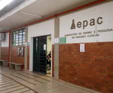 Pesquisadoras da UEM vão liderar projeto nacional de autocoleta de HPV