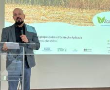 Encontro em Londrina formaliza rede de pesquisa que vai combater enfezamento do milho