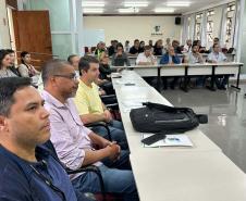 Encontro em Londrina formaliza rede de pesquisa que vai combater enfezamento do milho