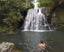Capacitação em turismo: site do Governo do Estado traz todas as opções ofertadas no Paraná