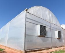 Com alta tecnologia, nova casa de vegetação da UENP expande ensino de agronomia