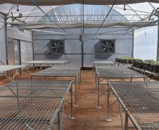 Com alta tecnologia, nova casa de vegetação da UENP expande ensino de agronomia