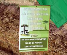 Projeto do Geoparque de Prudentópolis avança com atualização do plano de trabalho