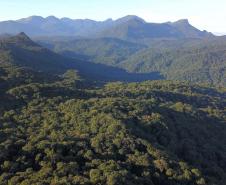 Edital que apoia projetos sobre a Mata Atlântica está com as inscrições abertas até sexta