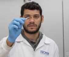 Com apoio do Tecpar, Estado reforça ações para combater mortandade de abelhas