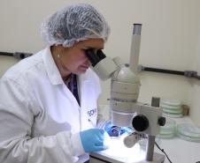 Estado busca projetos de P&D de diferentes segmentos produtivos para receber até R$ 20 milhões
