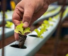 Jornada de Educação Ambiental capacita profissionais da rede estadual de ensino