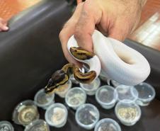 IAT e Unicentro renovam convênio para atendimento à fauna silvestre em Guarapuava
