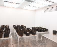 UENP instala equipamento de cultivo controlado de plantas para auxiliar em pesquisas