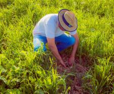 Fazenda Escola da UEPG reduz emissão de 400 toneladas de carbono por safra