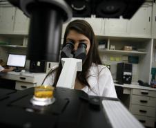 Capes autoriza mais seis doutorados nas universidades estaduais do Paraná