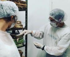 Projeto da Unespar, Centro de Documentação Histórica do Litoral comemora um ano