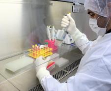China passa a aceitar laudo do Tecpar para que pets possam entrar no país