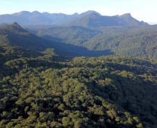 Araucária e Fundação Grupo Boticário financiam projetos inovadores na Mata Atlântica