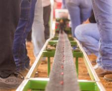 Com 1.750 alunos formados, curso de Agronomia da UEPG completa 40 anos