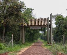 Sabor único, alta produtividade e indicação geográfica diferenciam o mel do Oeste