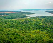 Sabor único, alta produtividade e indicação geográfica diferenciam o mel do Oeste