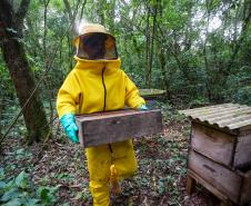 Sabor único, alta produtividade e indicação geográfica diferenciam o mel do Oeste