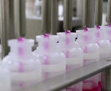 Tecpar fornecerá 26 milhões de doses da vacina antirrábica veterinária ao governo federal