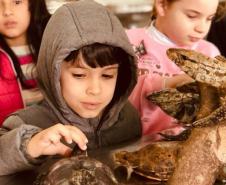 Projeto da Unicentro promove educação ambiental em Guarapuava